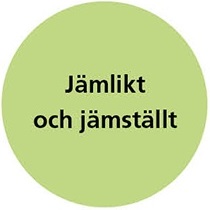 Jämlikt och jämställt (2).jpg